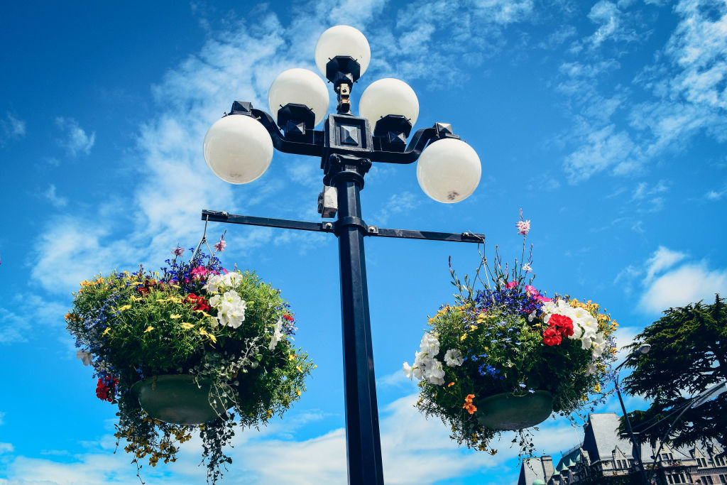 Flower baskets on lampposts